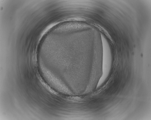 X0000085840784200704132102