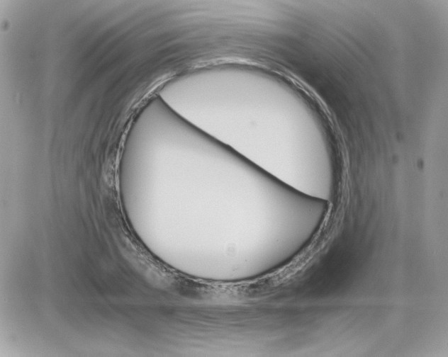 X0000085840785200704132102