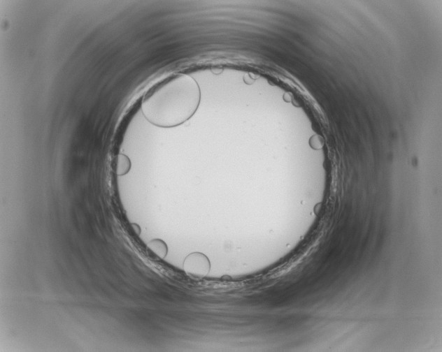 X0000085840786200704132102