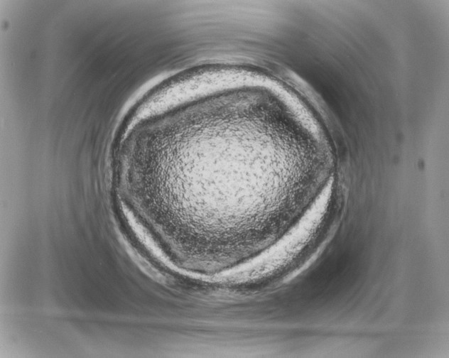 X0000085840787200704132102