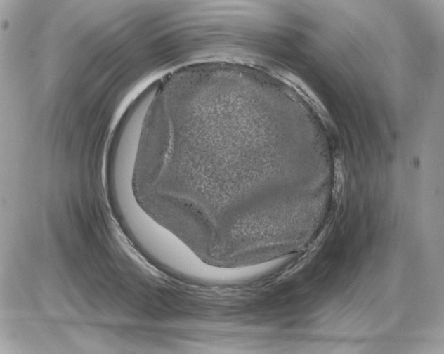 X0000085840788200704132102