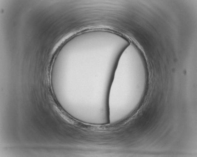 X0000085840789200704132102