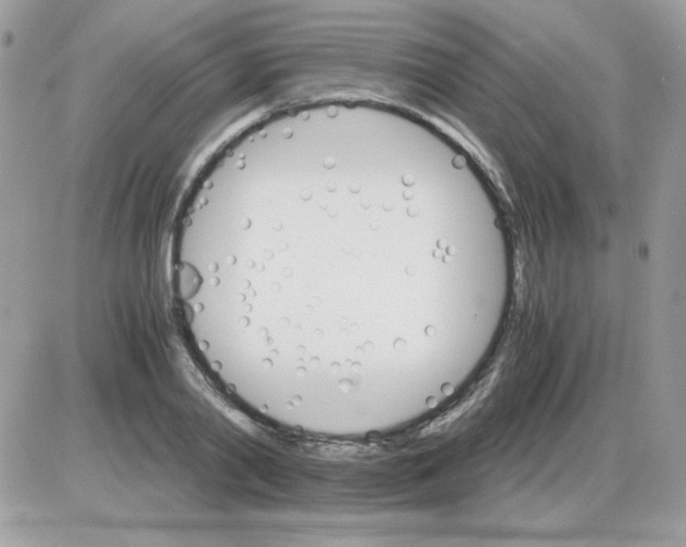 X0000085840790200704132102