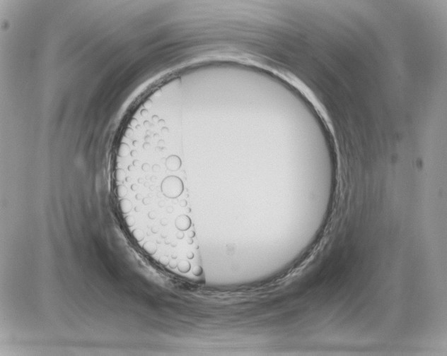 X0000085840791200704132102