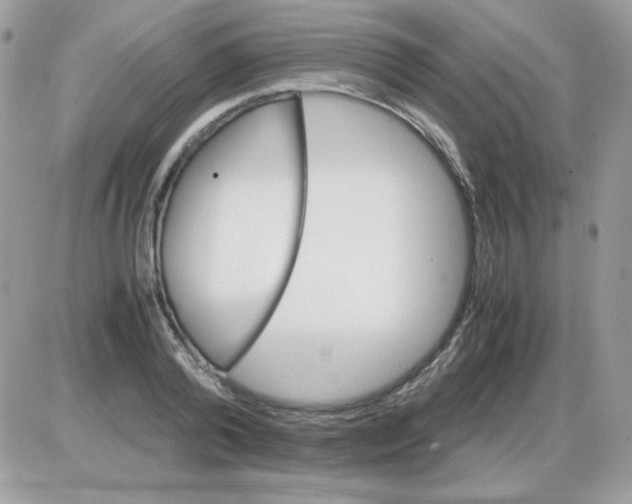 X0000085840792200704132102