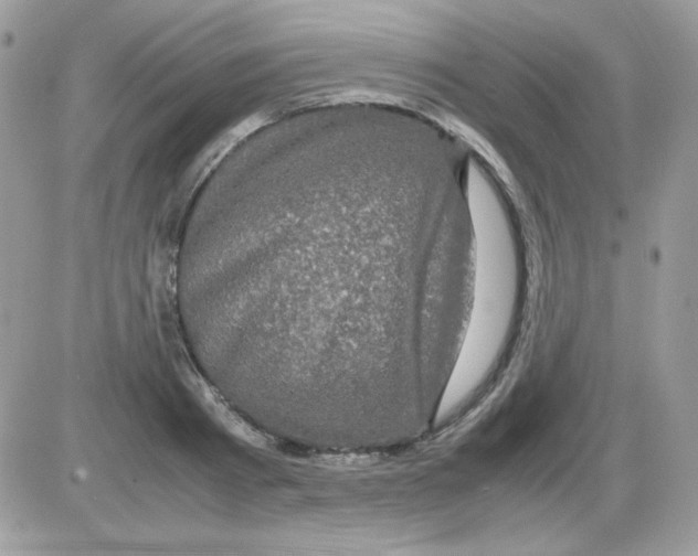 X0000085840793200704132102