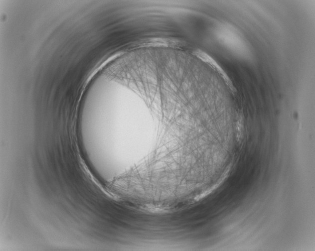 X0000085840794200704132102