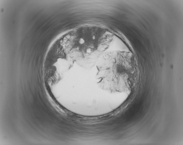 X0000085840795200704132102