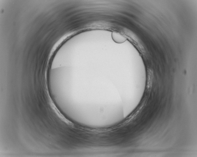 X0000085840796200704132102