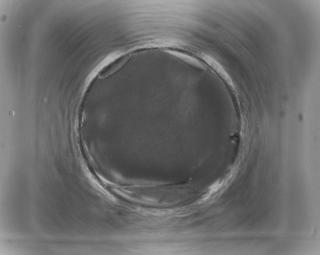 X0000085840797200704132102