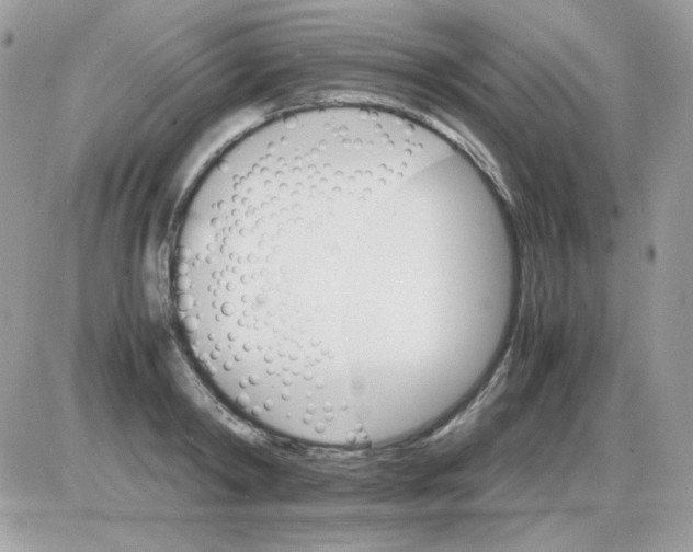 X0000085840798200704132102