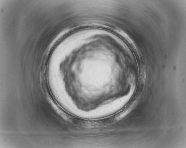 X0000085840799200704132102