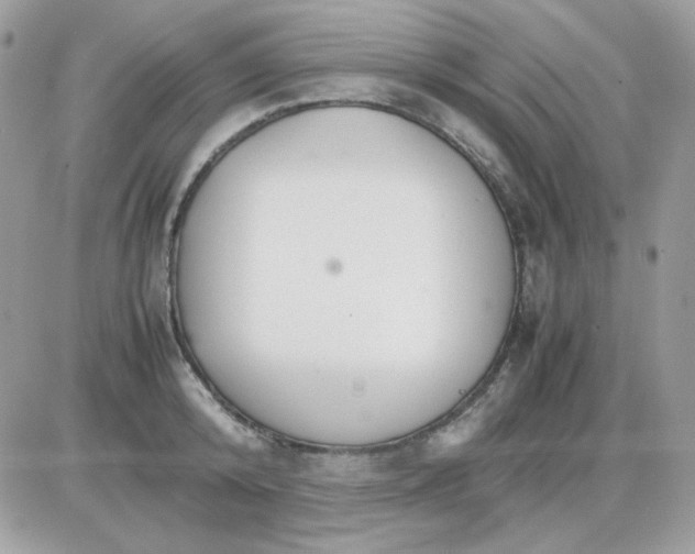 X0000085840800200704132102