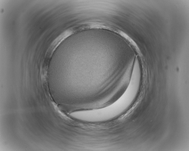 X0000085840801200704132102