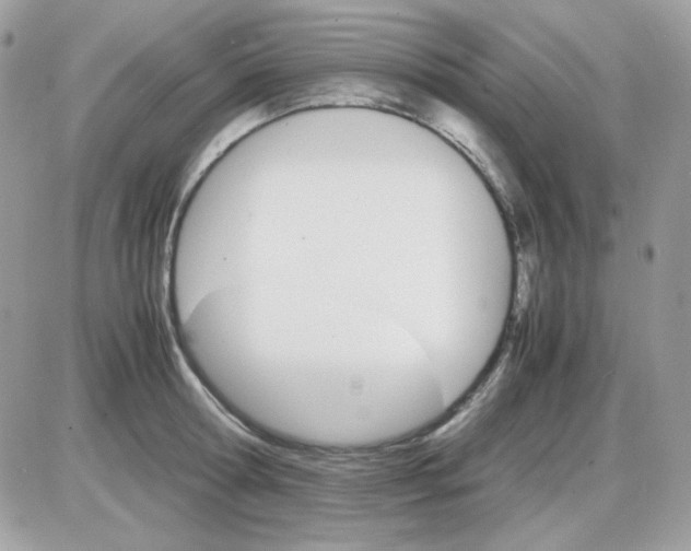 X0000085840802200704132102