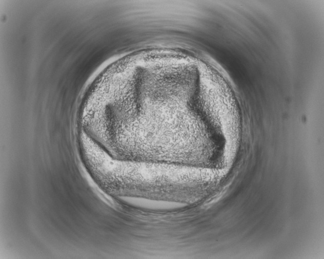 X0000085840803200704132102