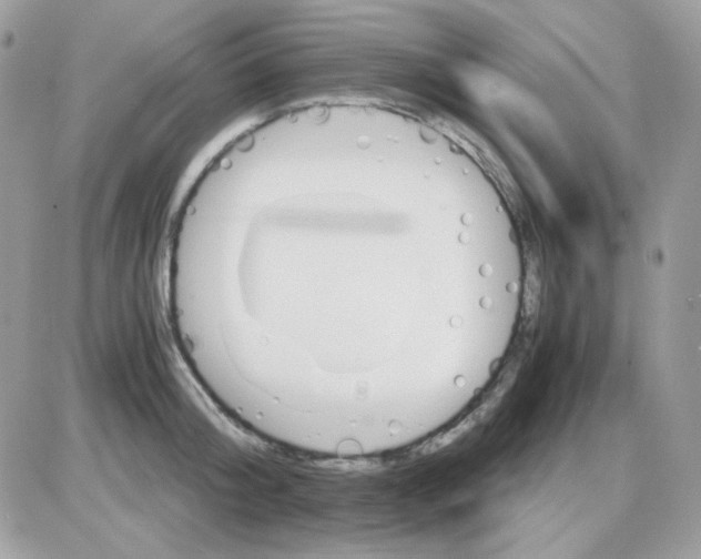 X0000085840804200704132102