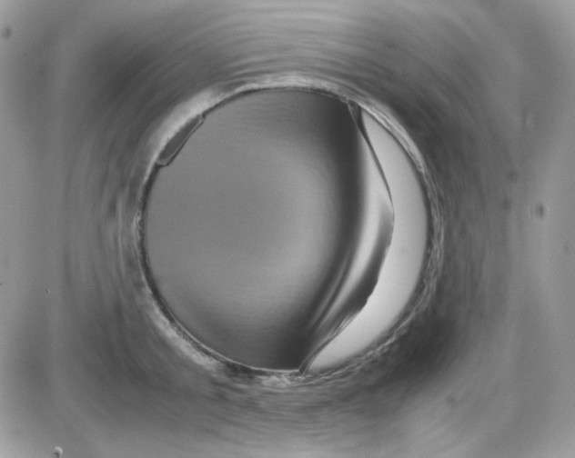 X0000085840805200704132102