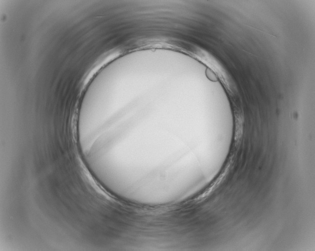 X0000085840806200704132102