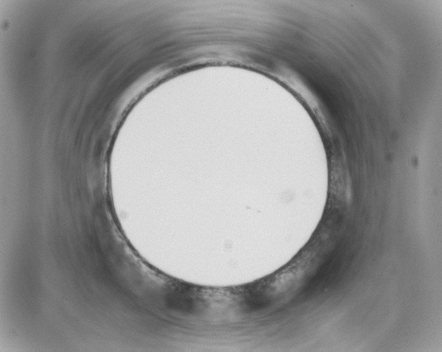 X0000085840807200704132102