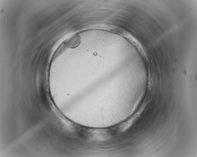 X0000085840808200704132102