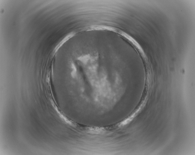 X0000085840809200704132102