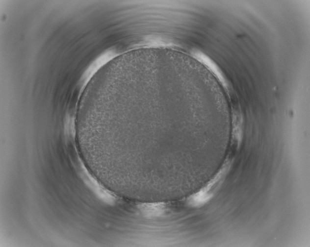 X0000085840810200704132102