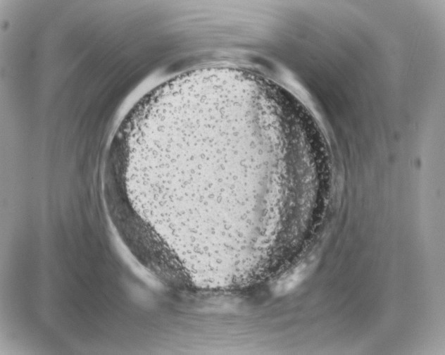 X0000085840811200704132102