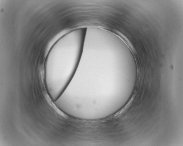 X0000085840812200704132102