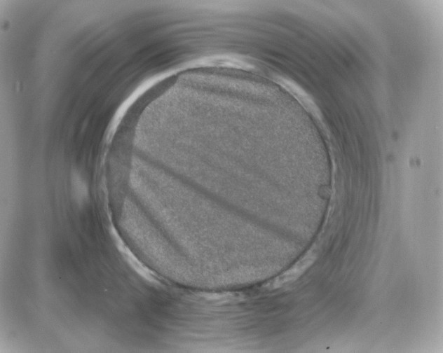 X0000085840816200704132102