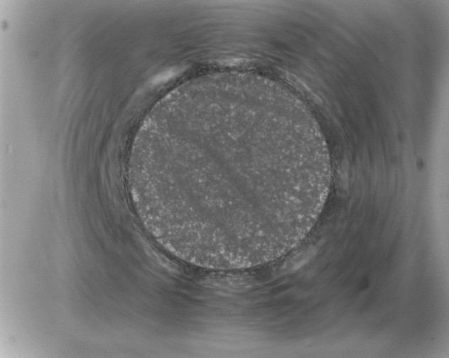 X0000085840817200704132101