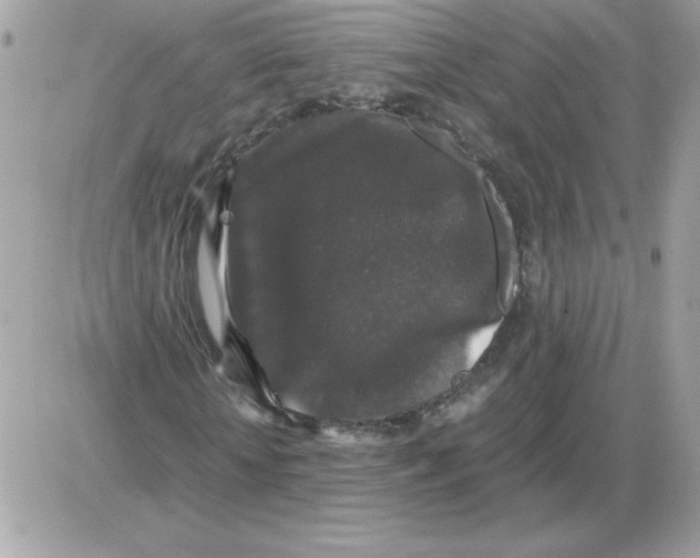 X0000085840818200704132101