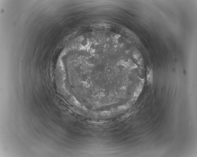 X0000085840819200704132101