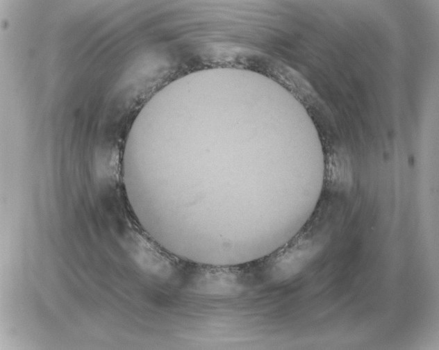 X0000085840820200704132101