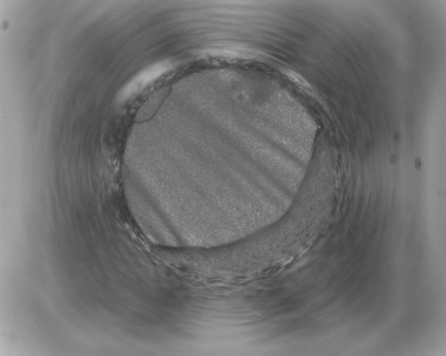 X0000085840822200704132101