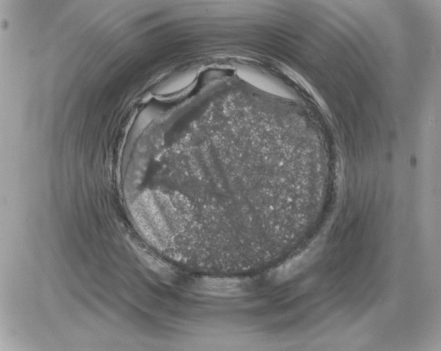 X0000085840825200704132101