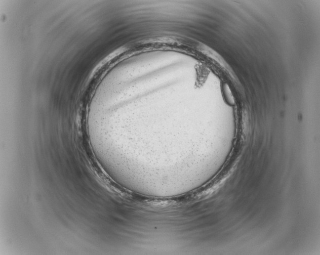 X0000085840826200704132101