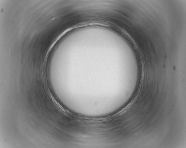 X0000085840828200704132101