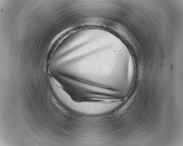 X0000085840830200704132101