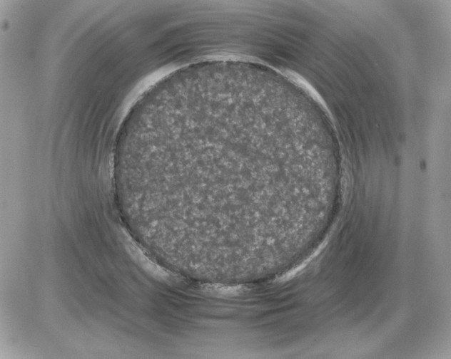 X0000085840831200704132101