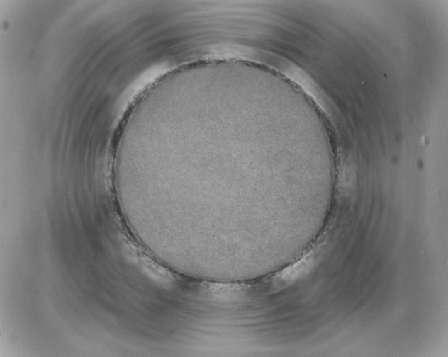 X0000085840832200704132101