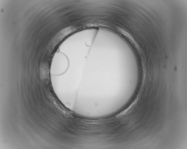 X0000085840833200704132101