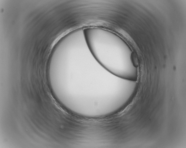 X0000085840834200704132101