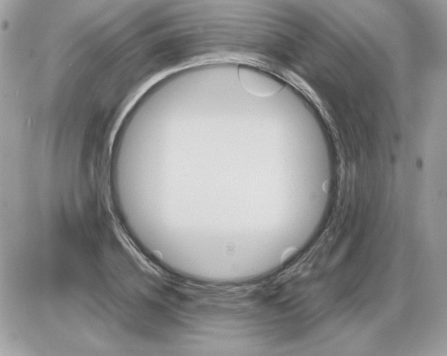 X0000085840836200704132101