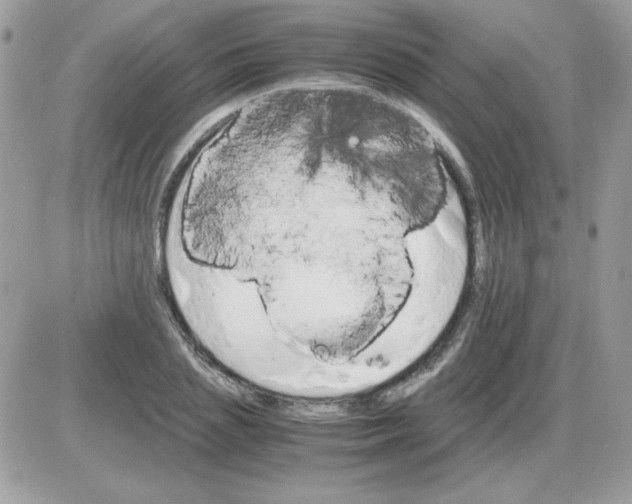 X0000085840837200704132101