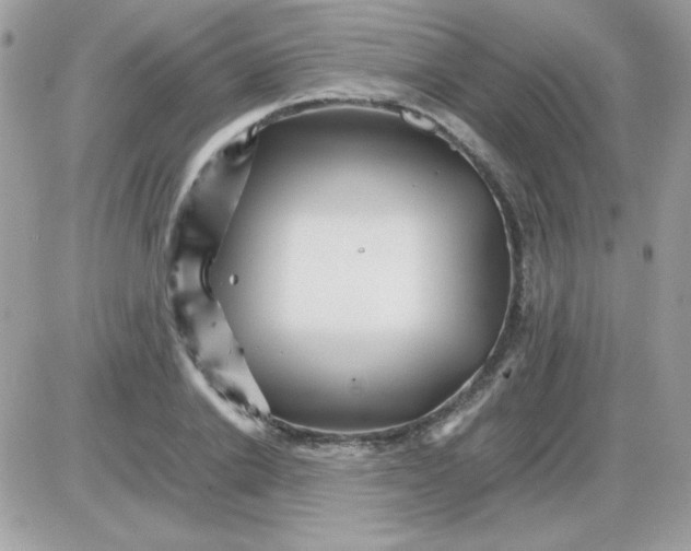 X0000085840838200704132101