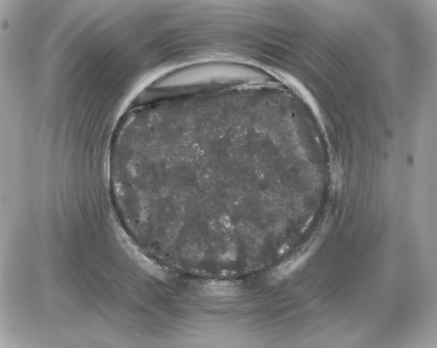 X0000085840839200704132101