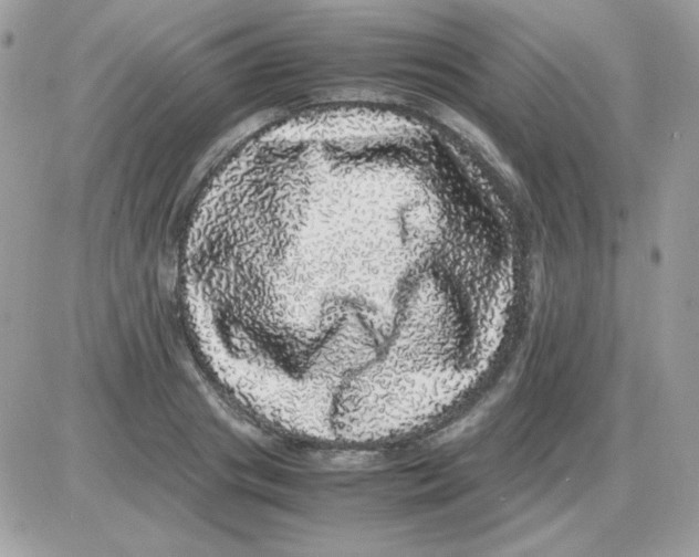 X0000085840841200704132101