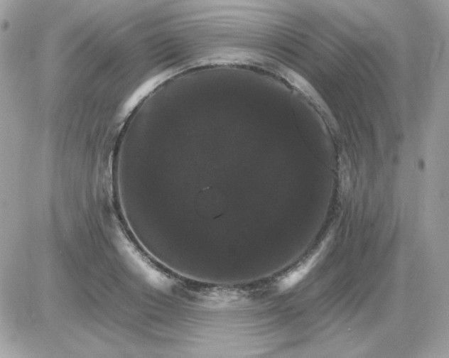 X0000085840842200704132101