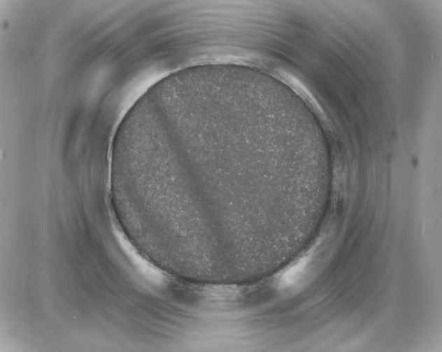 X0000085840844200704132101